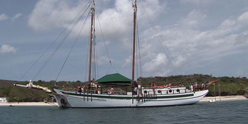Segelt&ouml;rn auf der "Bounty"